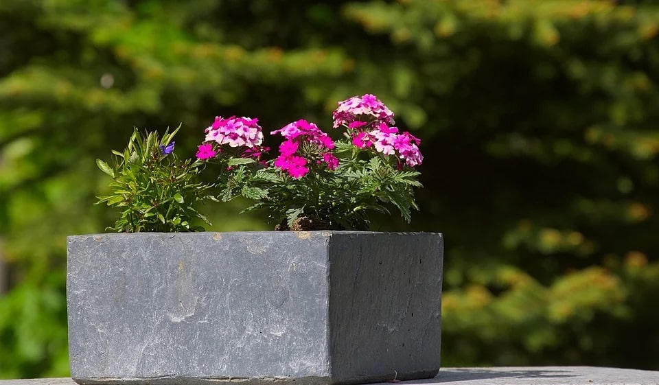 How to Make a DIY Concrete Planter Box in 5 Simple Steps 1 diy concrete planter box