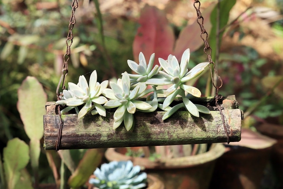 5 Simple DIY Hanging Planter Boxes You Can Make 4 diy hanging planter box