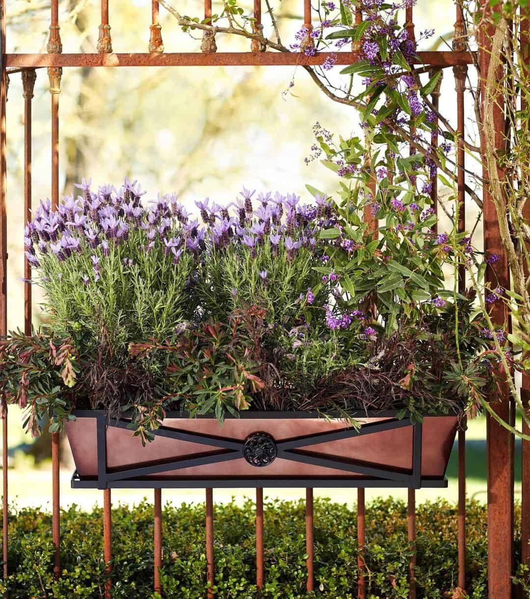 What Can I Plant in a Flower Box? 4 fragrant herb flower box