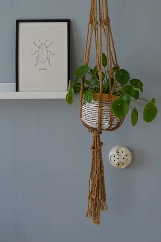 5 Simple DIY Hanging Planter Boxes You Can Make 3 hanging basket planter box