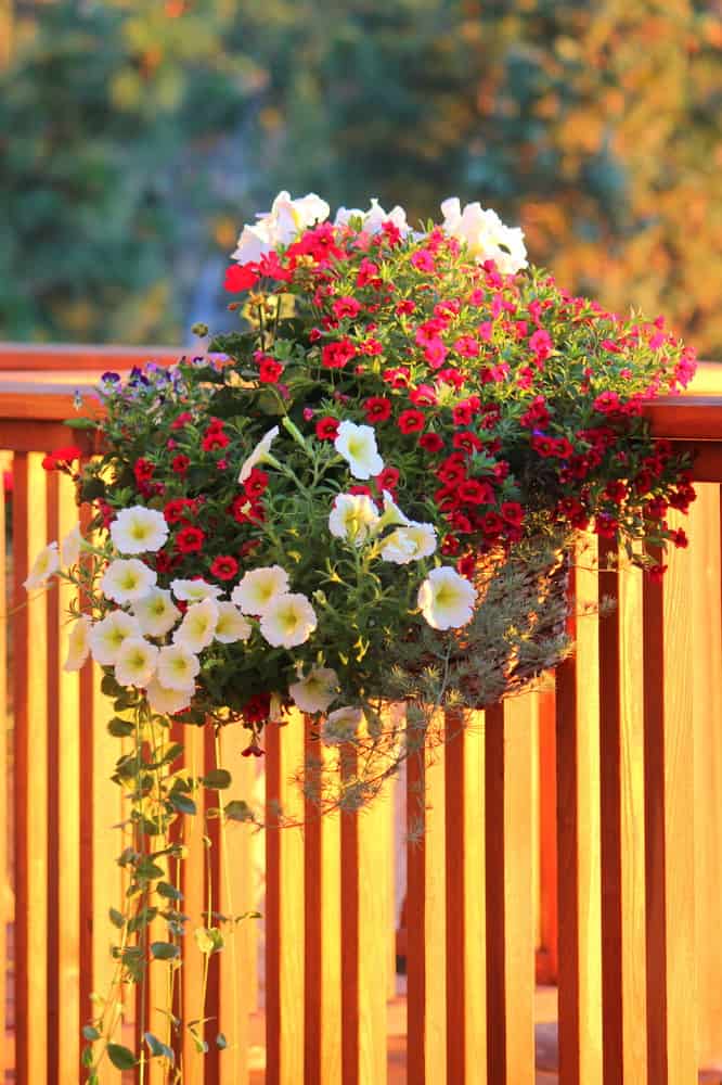 How to Build a Deck Flower Box to Hang on Railings 2 hanging flower box on deck rails