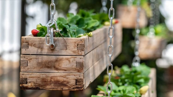 hanging planter box ideas