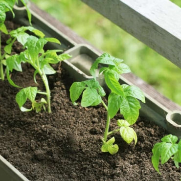 herb planter box ideas