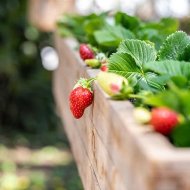 how to build a hanging planter box