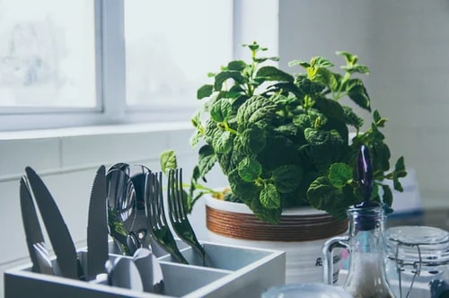 8 Effortless Herb Planter Box Ideas 6 kitchen counter herbs