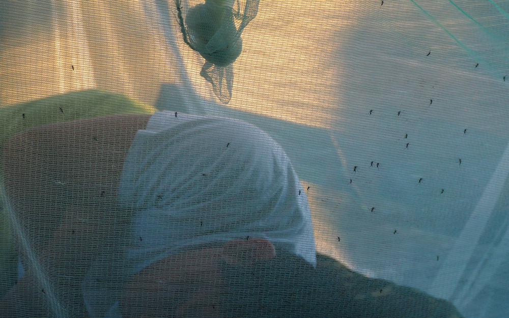 man sleeping under a mosquito net