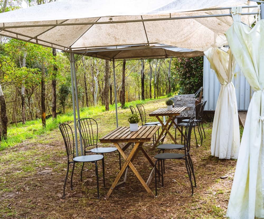 How to Clean A Canvas Gazebo Canopy in 4 Steps 1 mildewed canopy