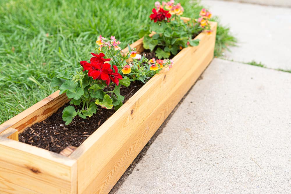 rectangular cedar planter box