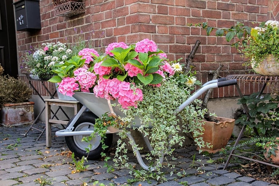 repurposed wheelbarrow