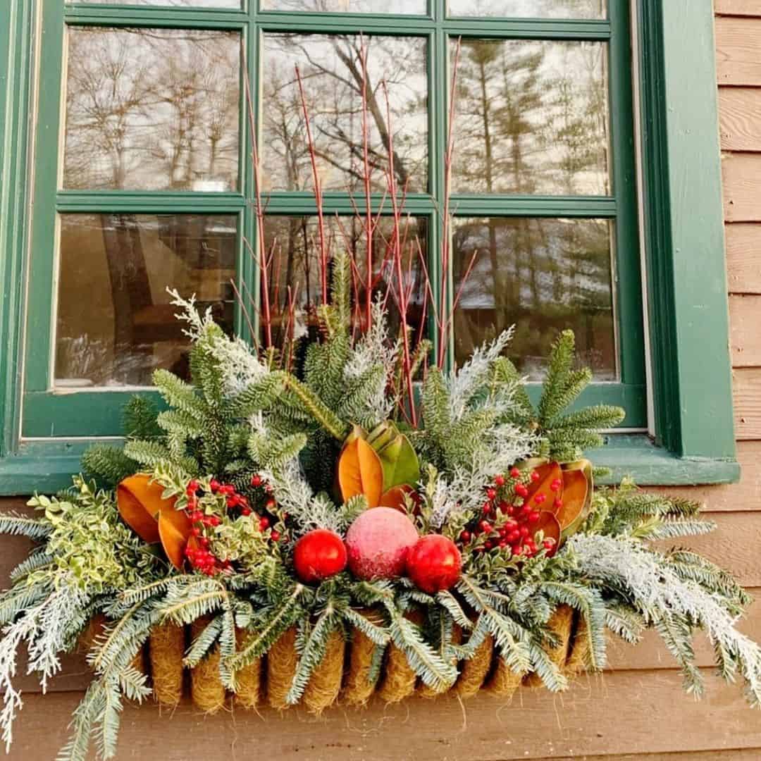 What Can I Plant in a Flower Box? 8 seasonal flower box