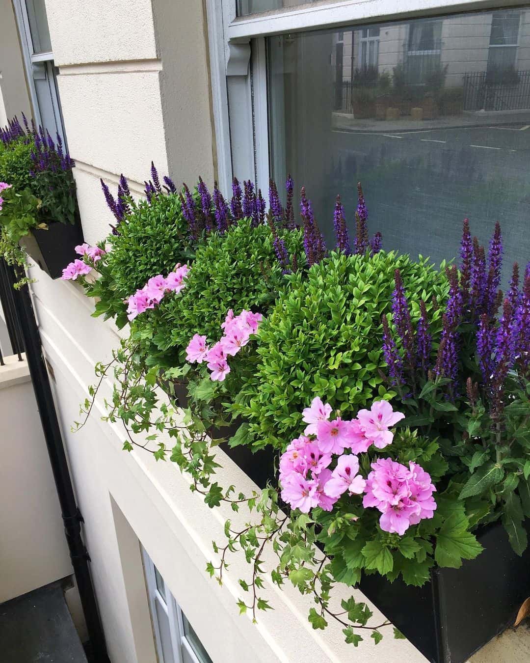 What Can I Plant in a Flower Box? 3 structured flower box