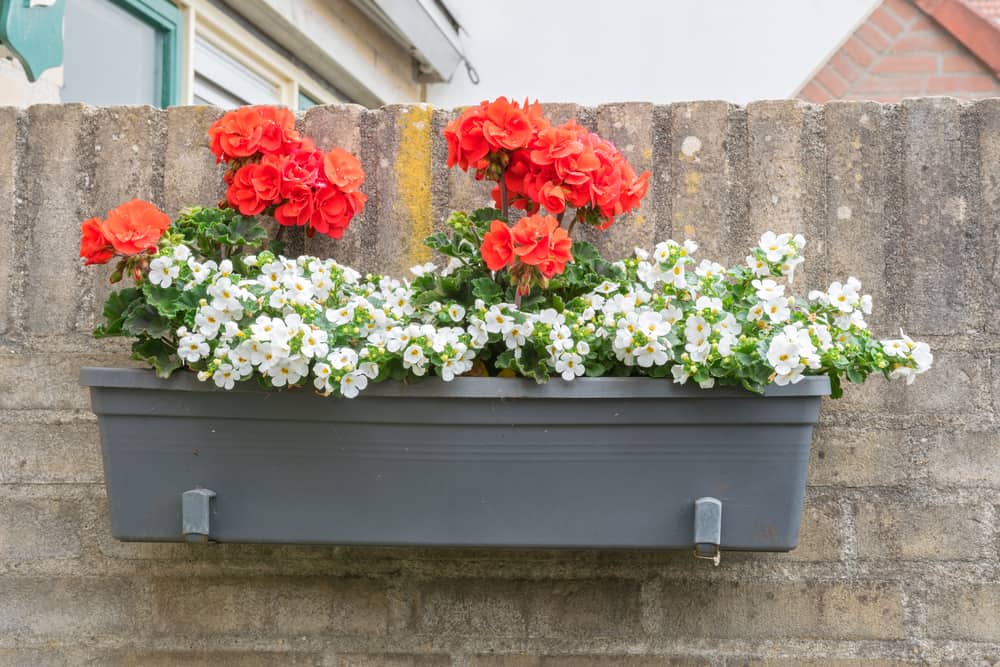 wall flower box
