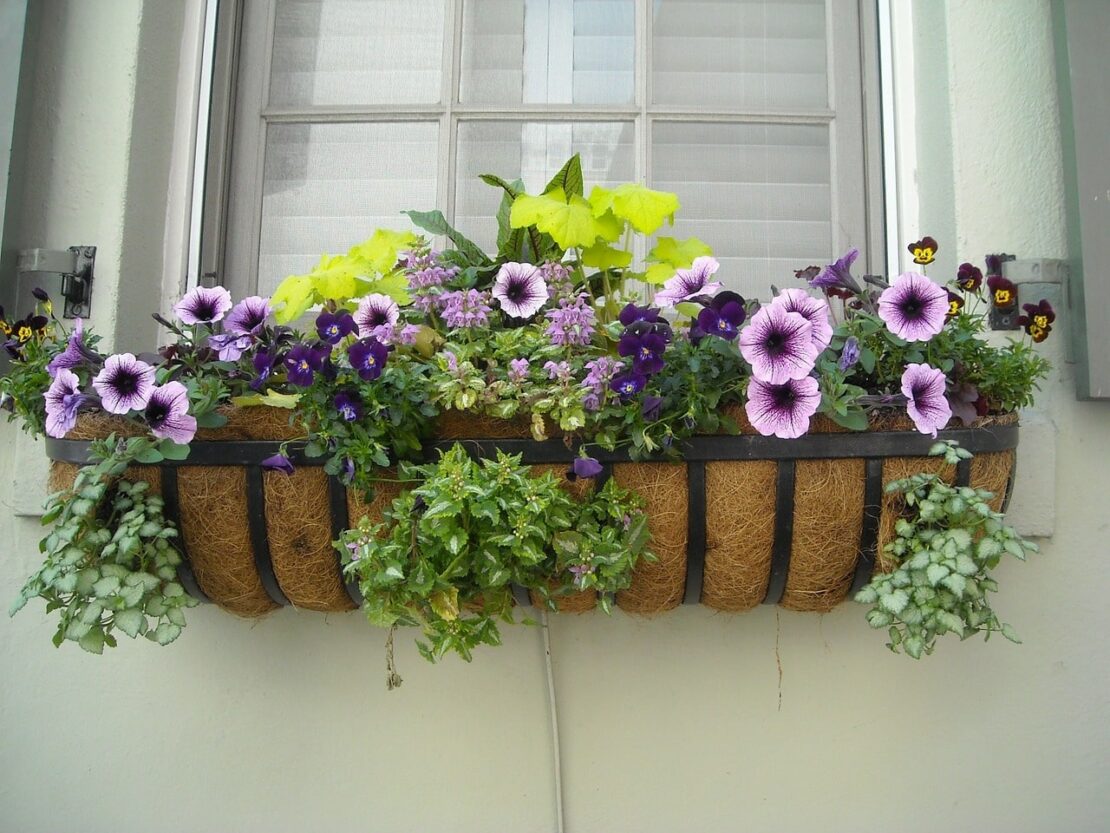 wall mounted flower baskets