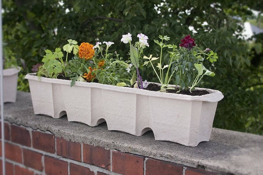 wall planters