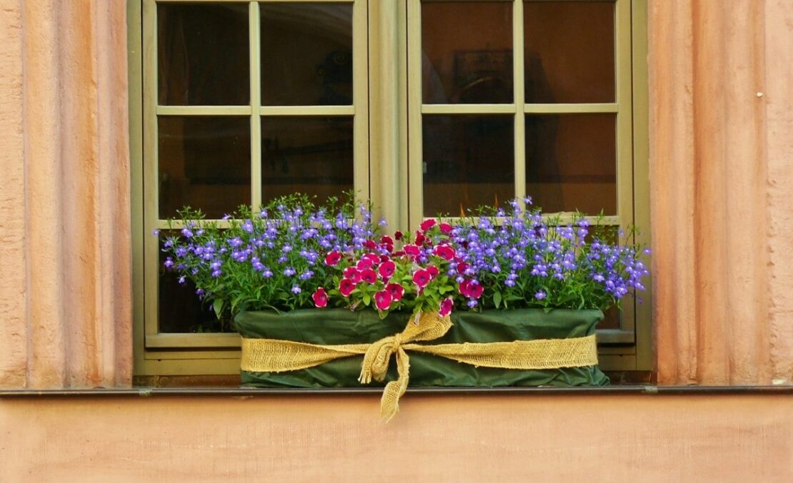 window sill flower boxes