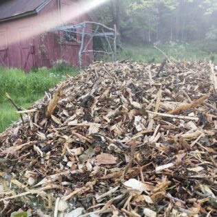 How To Fill A Wooden Planter Box: 8 Ideas What to Fill With 2