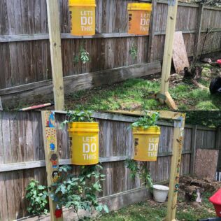 How to Build a Tomato Planter Box: Ideas for Healthy Plants 3 How to Build a Tomato Planter Box: Ideas for Healthy Plants 3