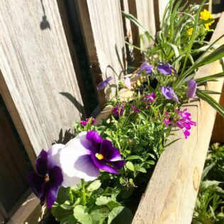 How to Make a Simple DIY Flower Box with Decoration Ideas 4 How to Make a Simple DIY Flower Box with Decoration Ideas 3