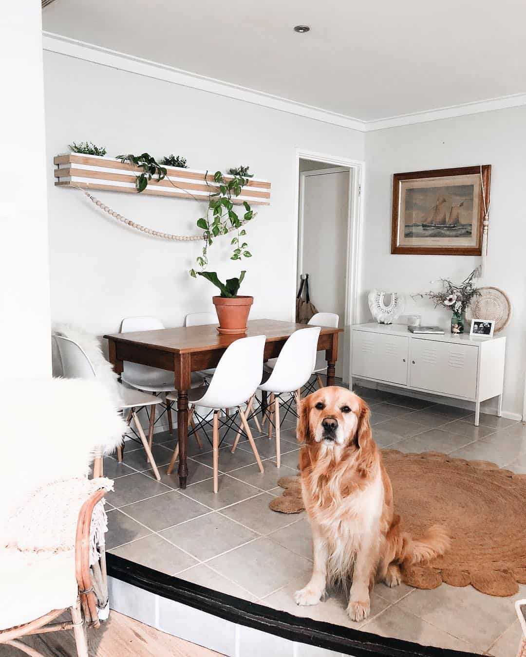 DIY wooden wall planter box