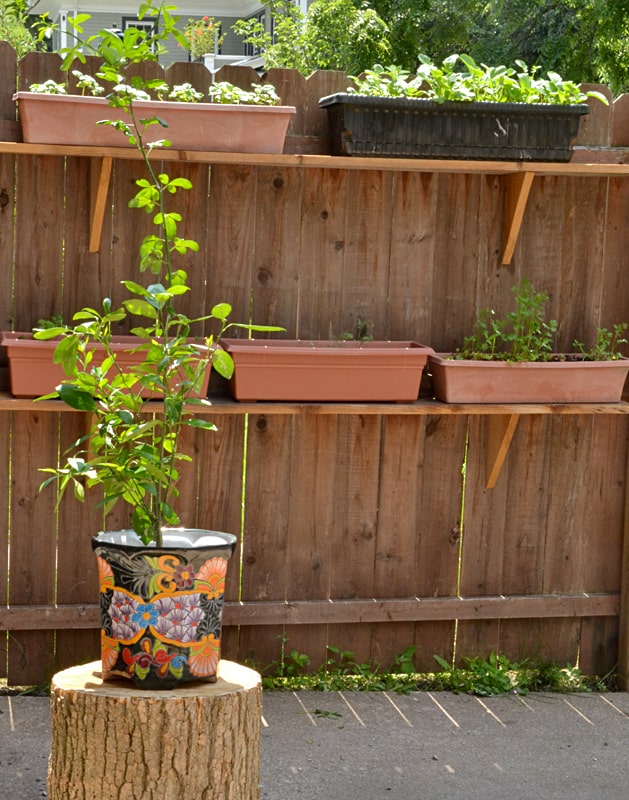 23 Fence Planter Box Ideas to Decorate Railing & Fences 8 23 Fence Planter Box Ideas to Decorate Railing & Fences 1