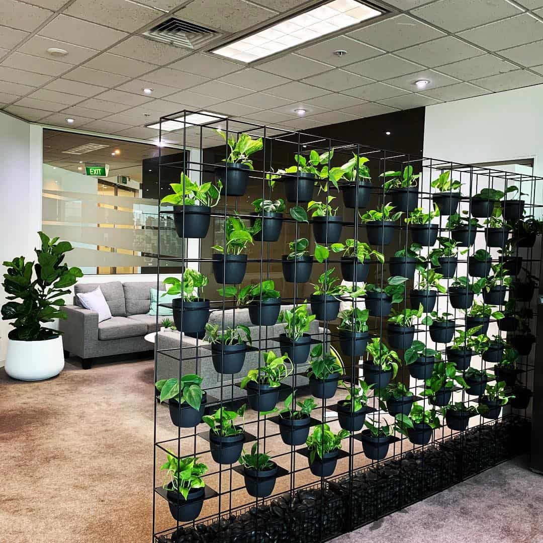 Indoor planter wall