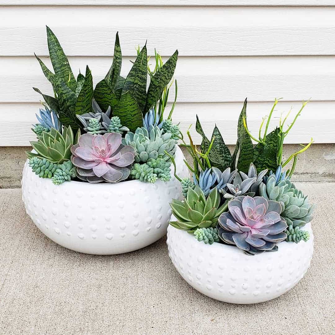 How to Choose the Best Planter Box for Succulents: 8 Ideas 8 Layer succulents