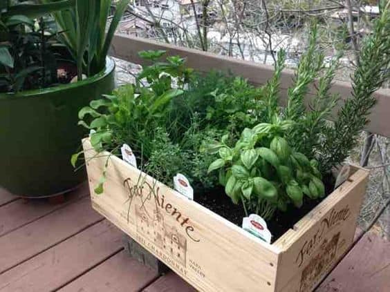 How to Build a Wine Box Planter From Old Crates 2 Legless Wine Box Planter