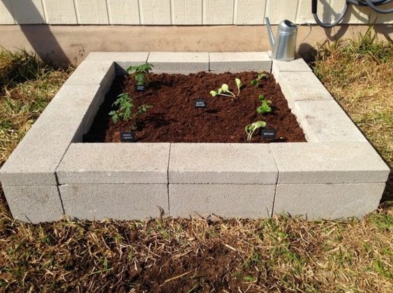 Square Cinder Block Planter