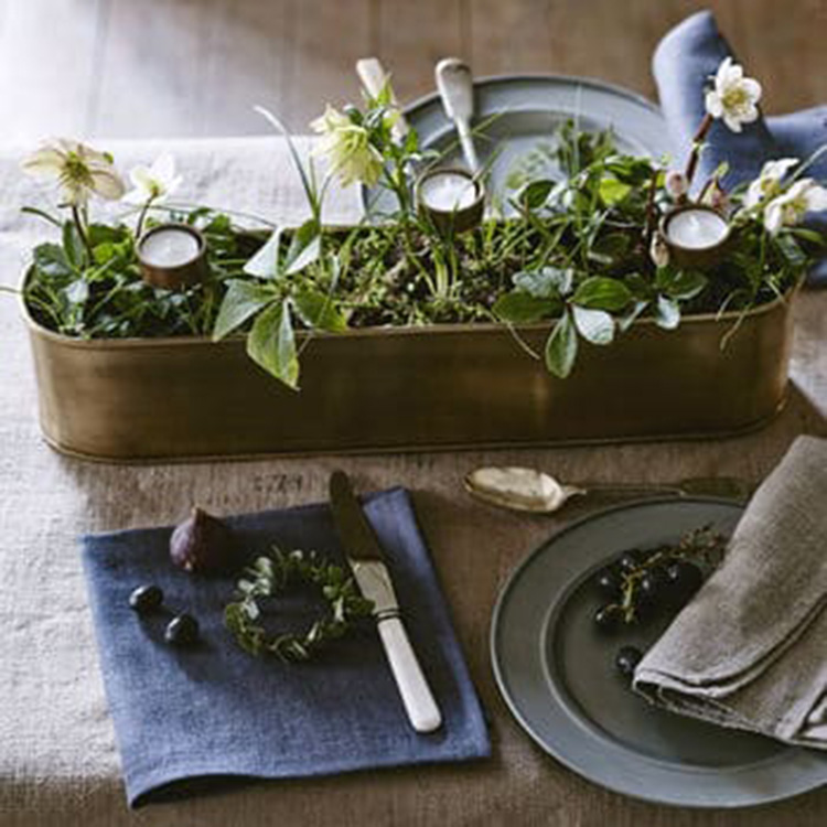 Table planter box