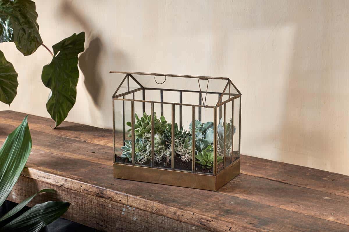 Terrarium planter