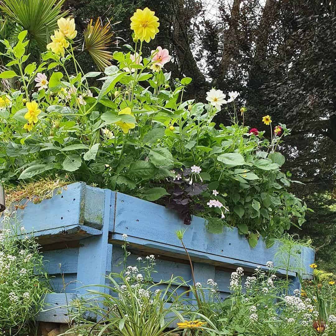 Trough pallet planter