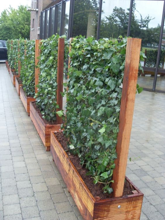 Wire Mesh Planter Box Privacy Screen