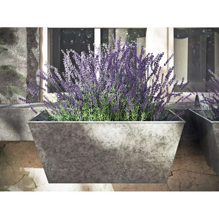 alessia metal balcony planter