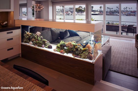 aquarium room divider