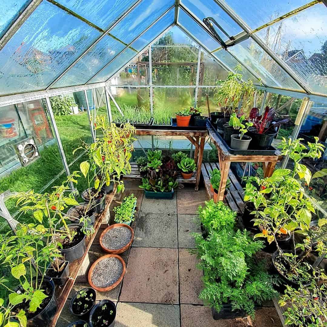 autumnal greenhouse