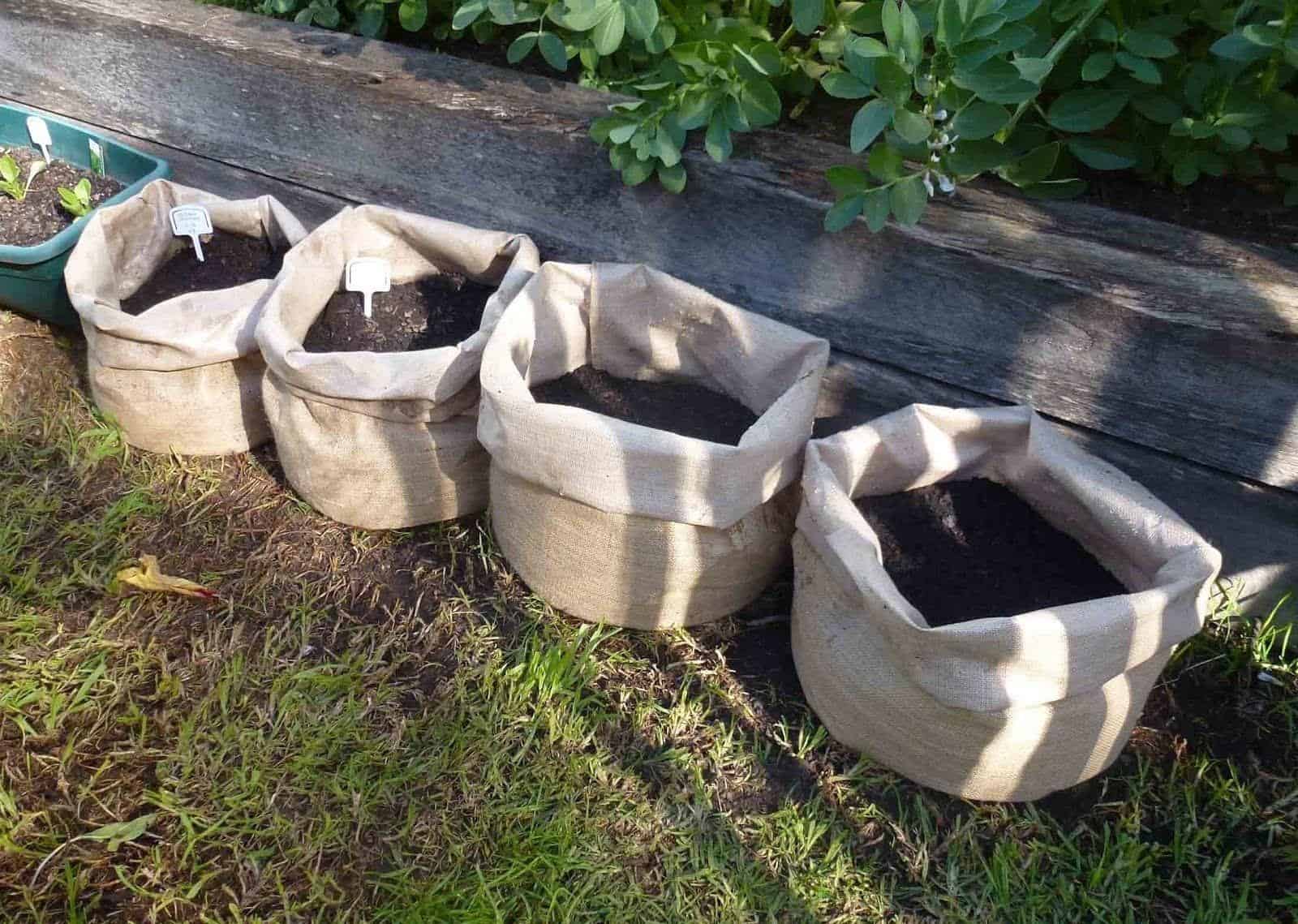 How to Make a DIY Potato Planter Box 2 bag potato planter