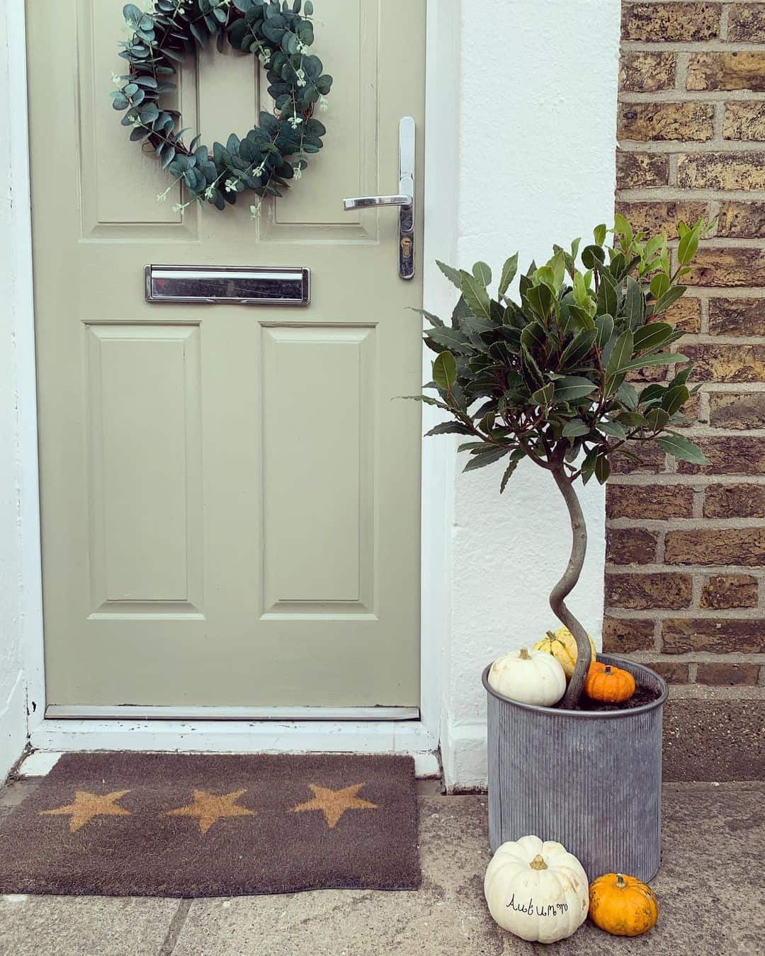 Can You Grow a Tree in a Planter Box? (How to Build it) 1 bay trees pots