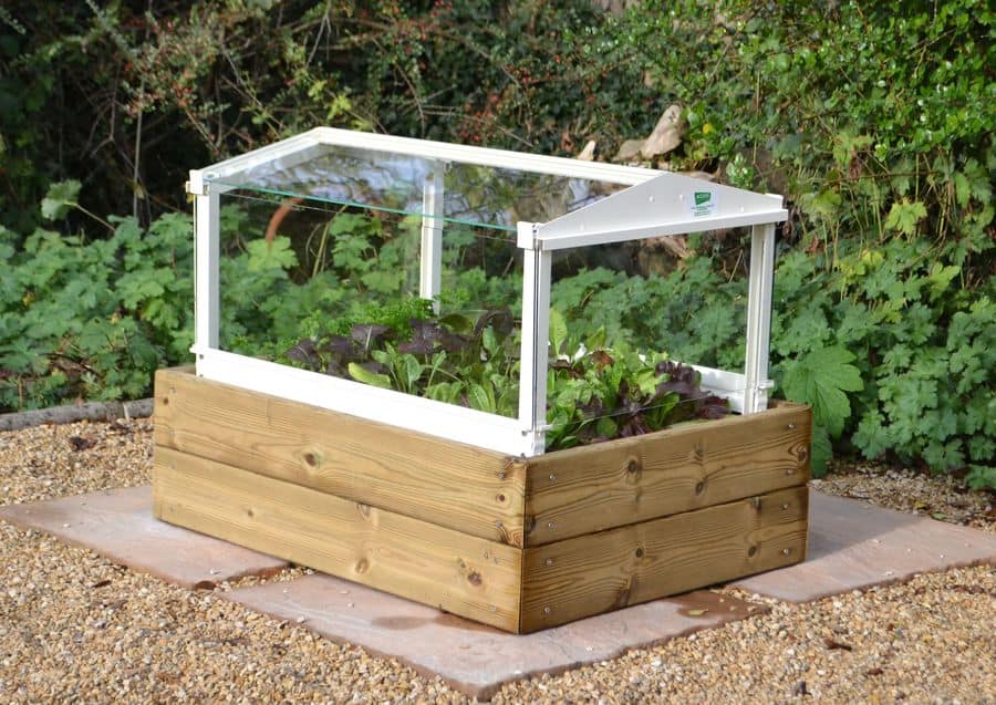 cloche herb planter box