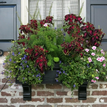 contrasting planters