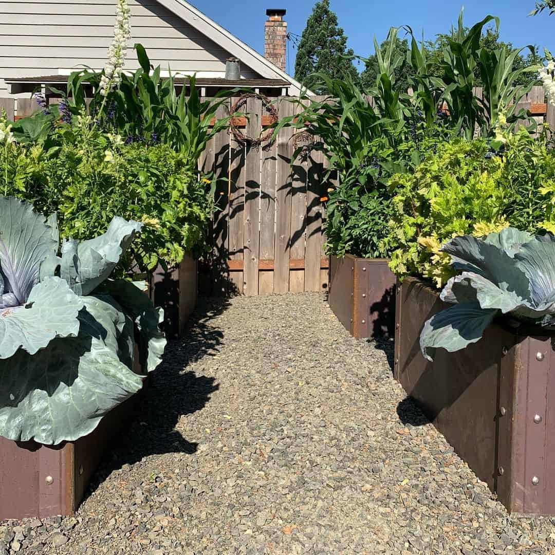 What to Grow in a Vegetable Planter Box 8 drainage