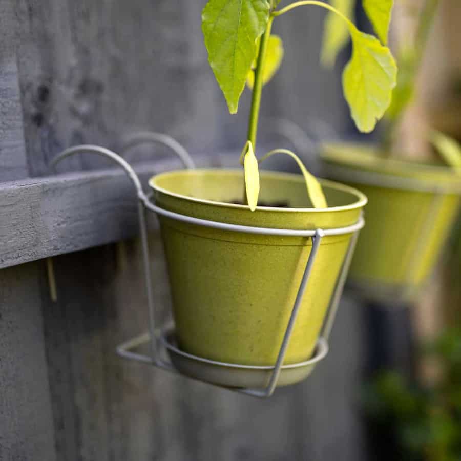 10 Best Urban Planter Boxes for a Modern Gardening Space 5 elegance pot holder