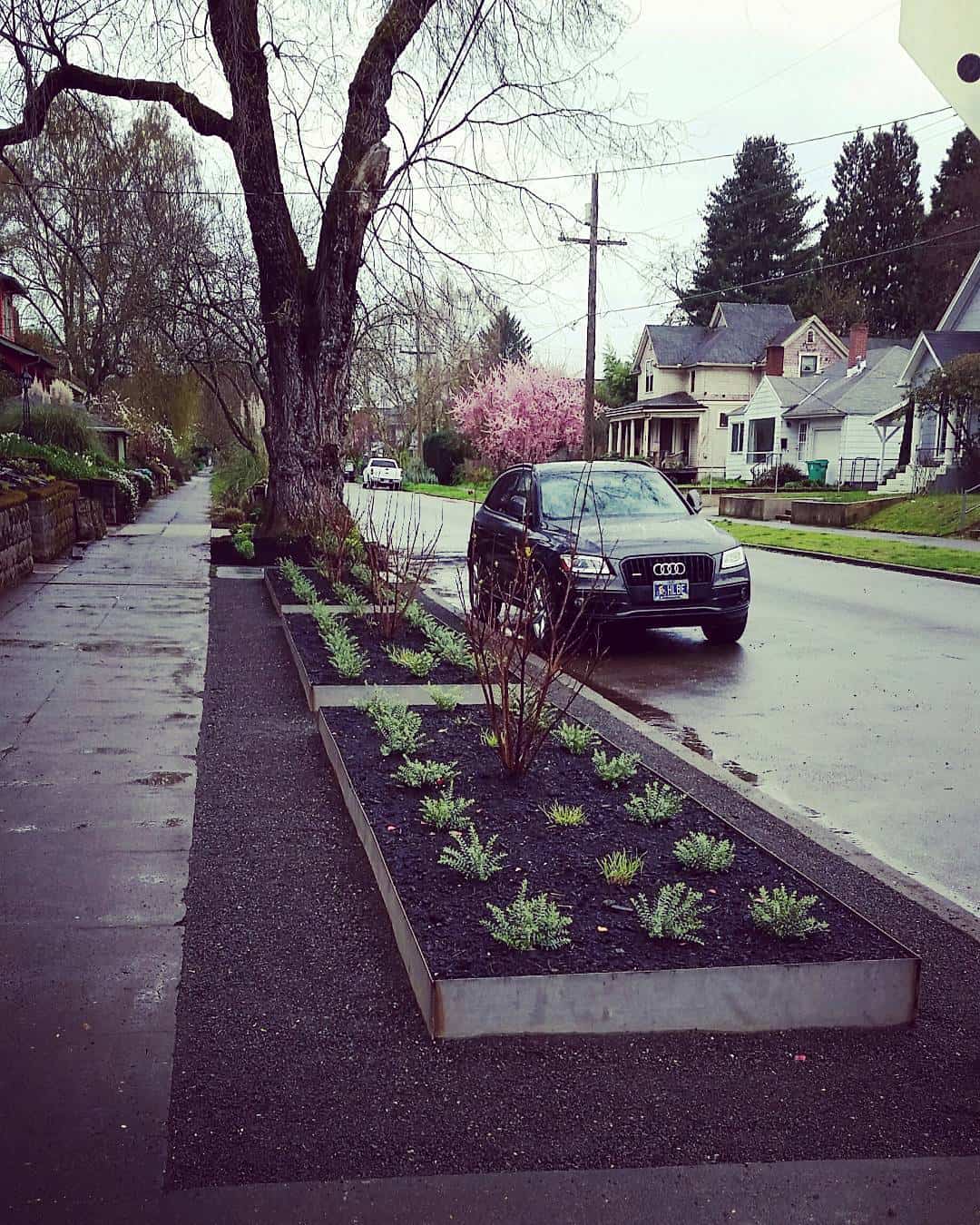 galvanised raised bed planter