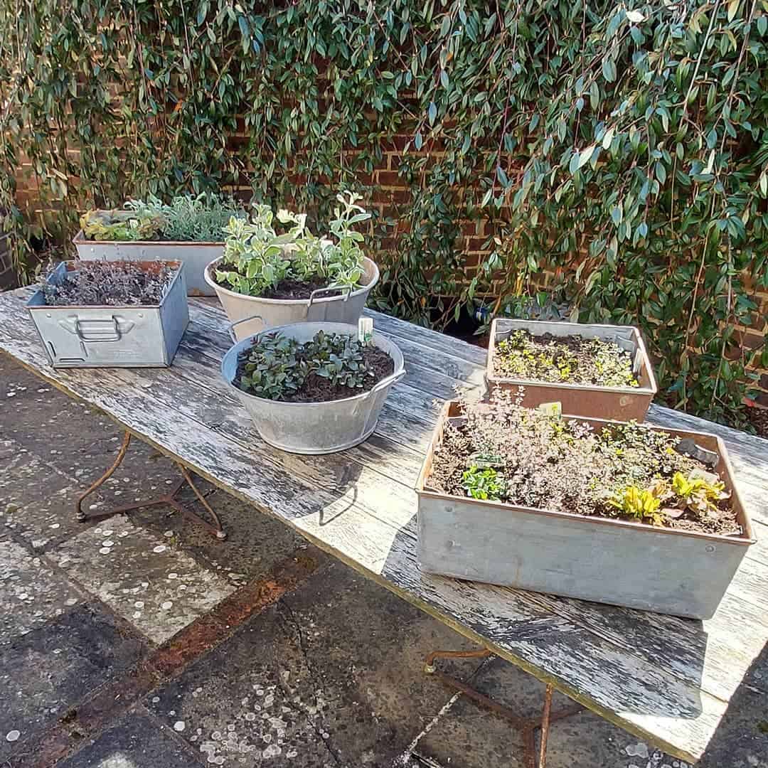 galvanized planter box