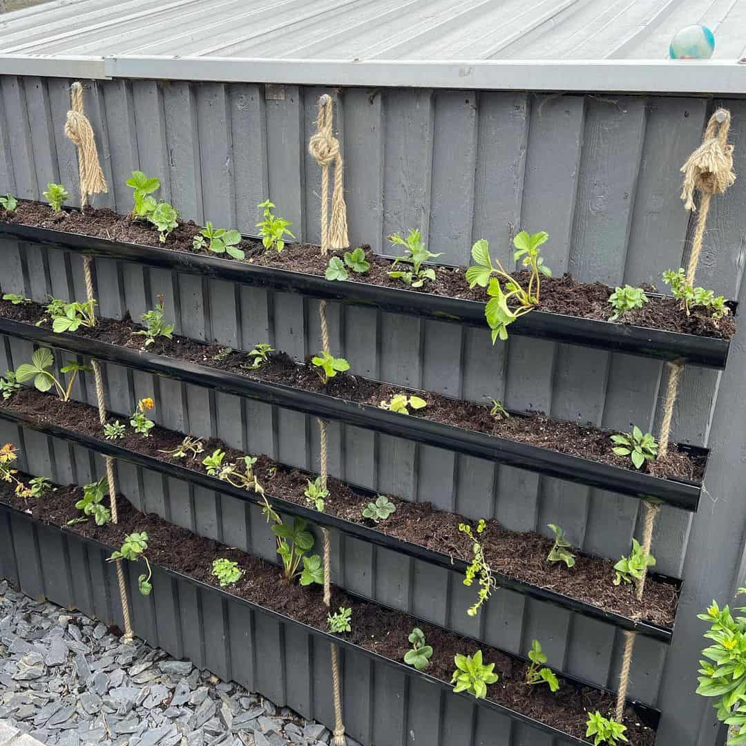 How to Make a Gutter Planter in 4 Steps (Gutter Garden Ideas) 4 hanging gutter garden