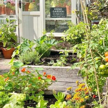 How to Build a Vegetable Planter Box: Grow Healthy Foods 4