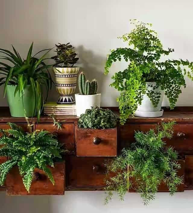 old dresser planter box room divider