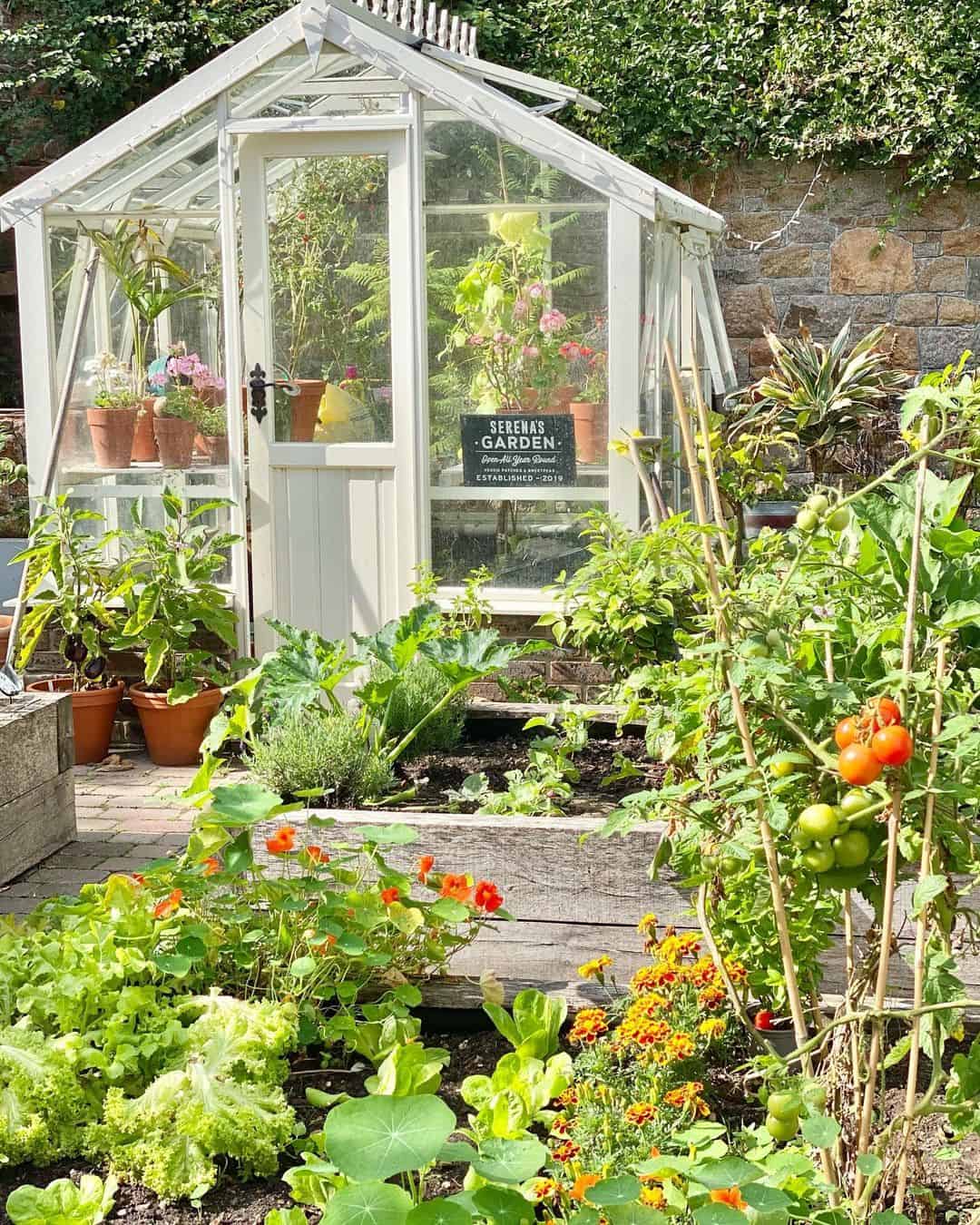 How to Build a Vegetable Planter Box: Grow Healthy Foods 1 planter box for vegetables