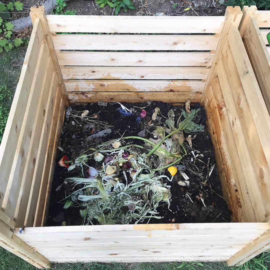 What to Grow in a Vegetable Planter Box 11 rich compost