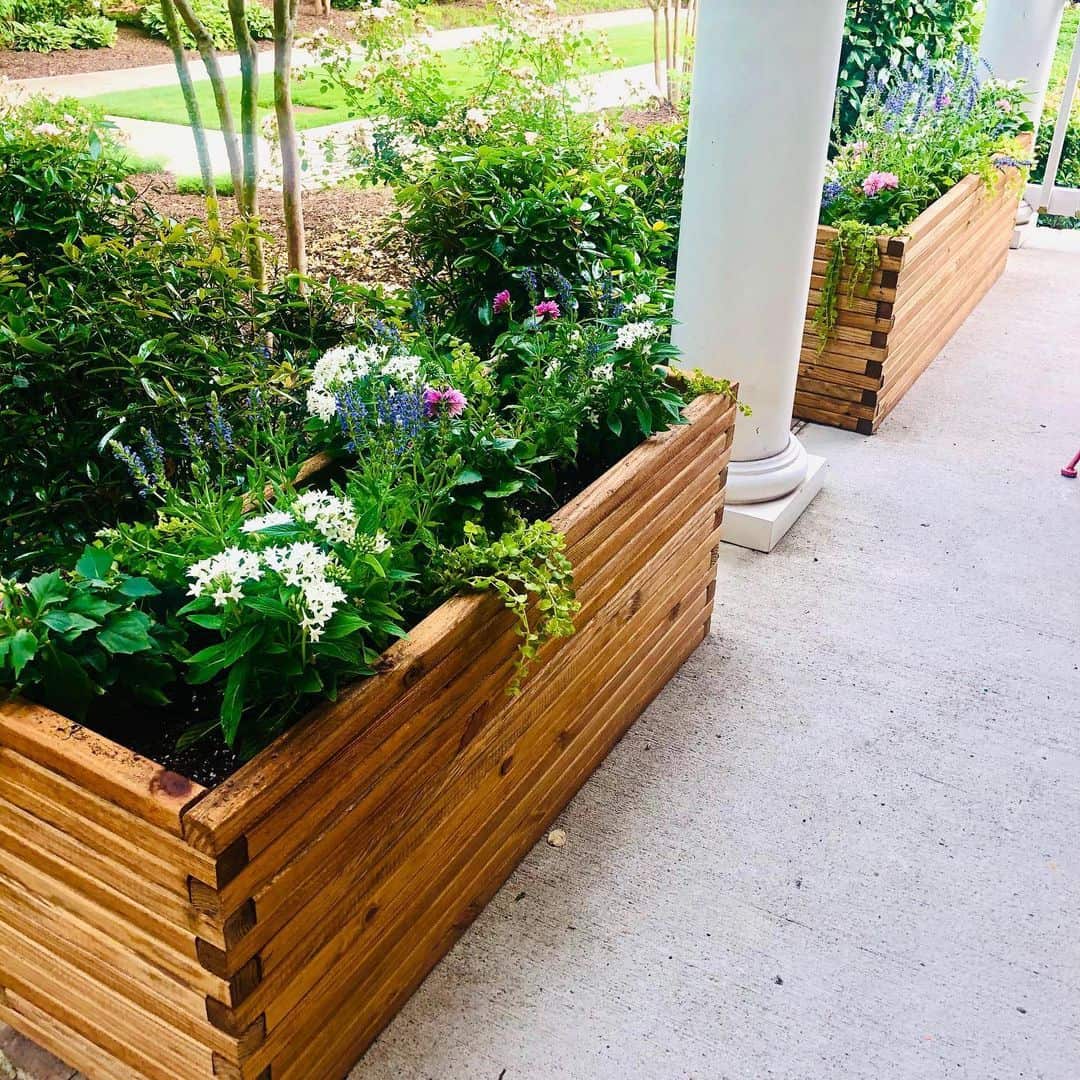 7 Best Waterproof Liners For Planter Boxes (How to Use) 16 thirsty plants in a lined planter