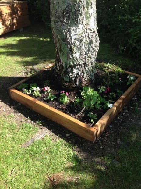 How to Build a Planter Box Around a Tree 2 tree bottom planter box